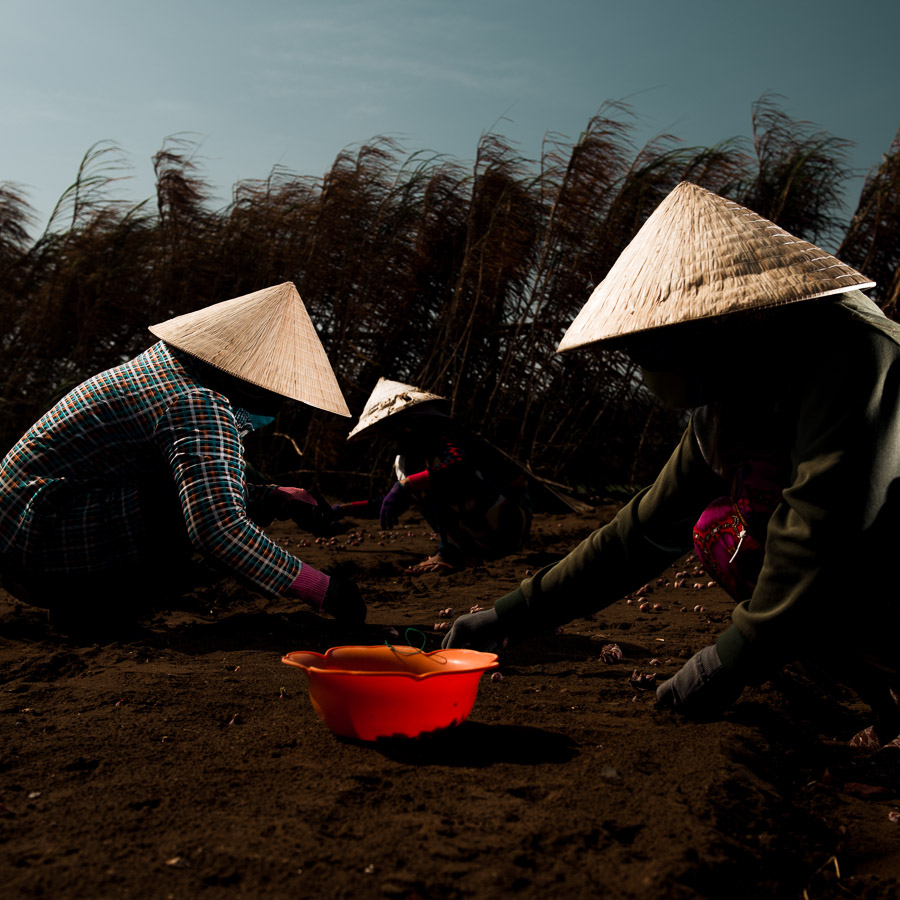 002-vietnam2018.jpg